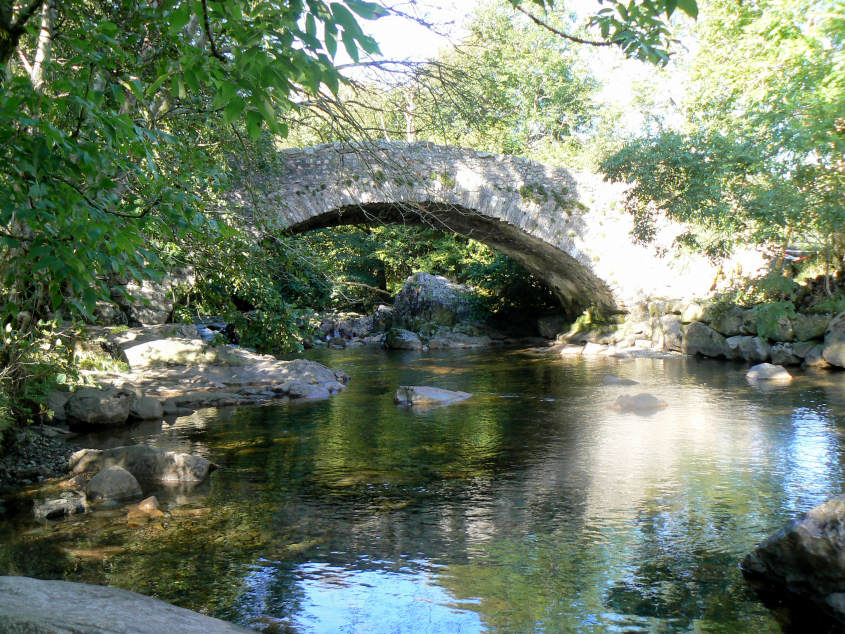 Doctor Bridge Doctor Bridge